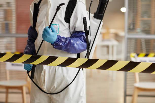 Professional Odor Removal technician working in Otterbein, IN